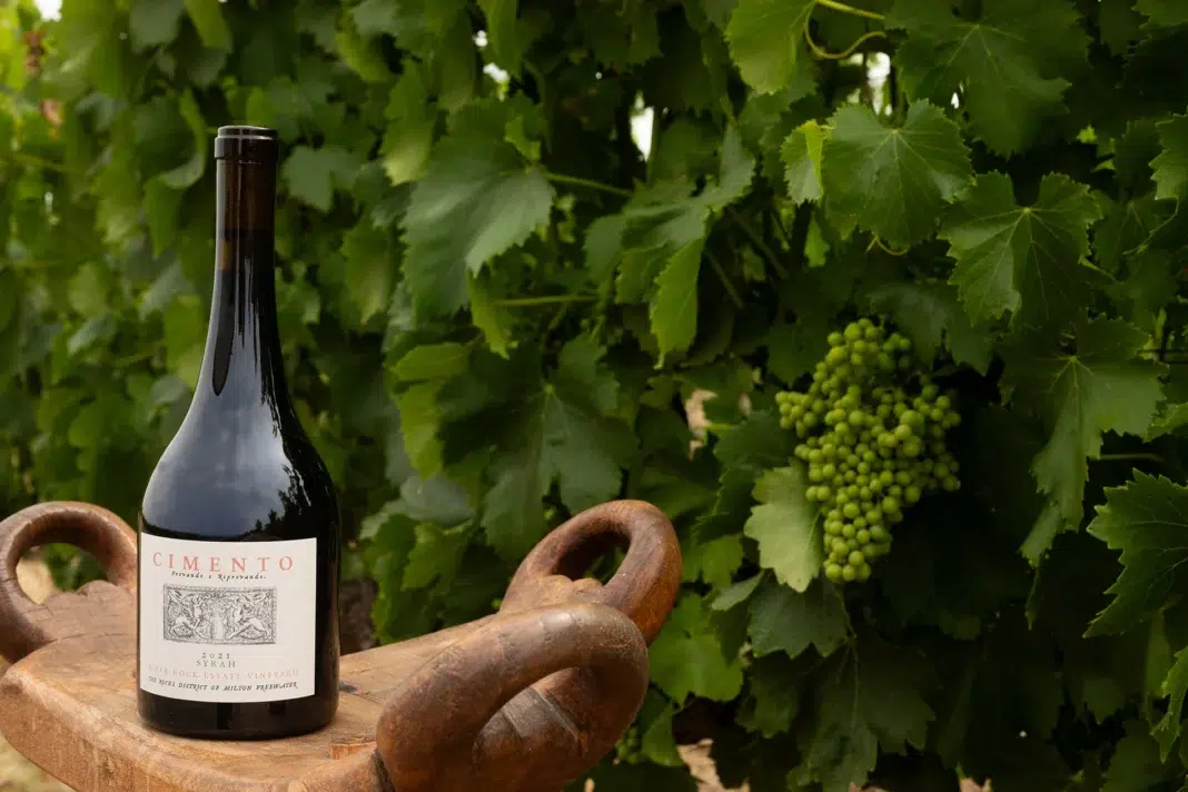 Cimento 2021 Syrah wine Cimento 2021 Syrah wine