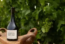 Cimento: Born on the Rocks Cimento 2021 Syrah wine