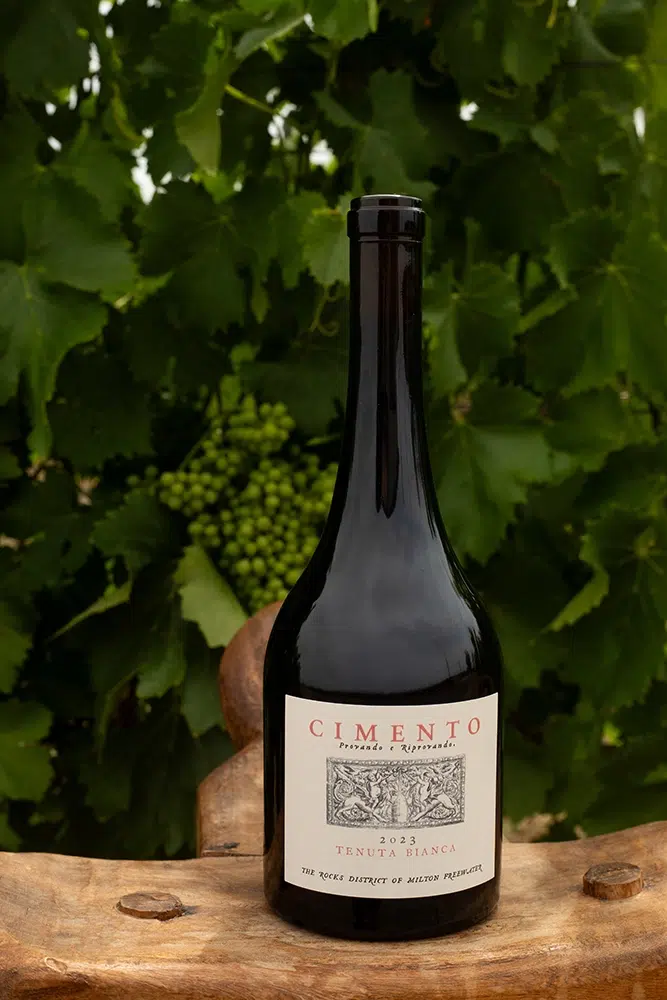 Cimento Tenuta Bianca 2023 wine Cimento Tenuta Bianca 2023 wine