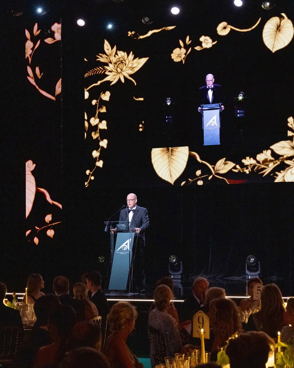 Anniversary address at Prince Albert II of Monaco Foundation gala