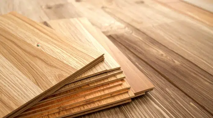 Flooring 101: A Beginner’s Guide to Choosing the Right Materials Flooring for your home. Vecteezy-medium