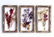 Why Are Preserved Flowers Becoming an Alternative to Fresh Bouquets? beautiful preserved flowers. Vecteezy-medium