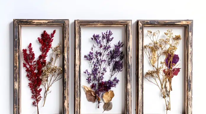 Why Are Preserved Flowers Becoming an Alternative to Fresh Bouquets? beautiful preserved flowers. Vecteezy-medium