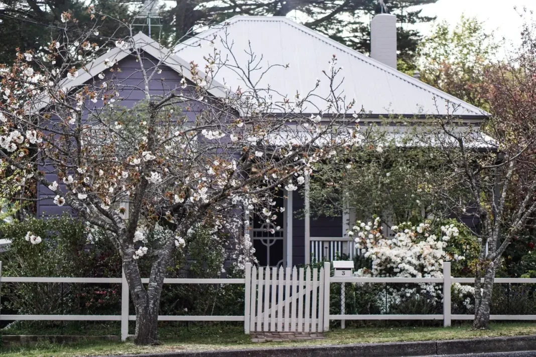 Building a new home. Image via pexels by Anna Guerrero Building a new home. Image via pexels by Anna Guerrero