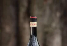 Scarpa’s La Bogliona: Three Decades of Single-Vineyard Barbera Scarpa Wine