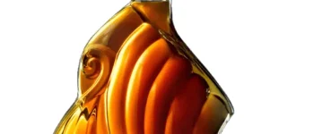 Larsen Viking Ship Cognac Bottle