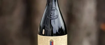 Scarpa Wine